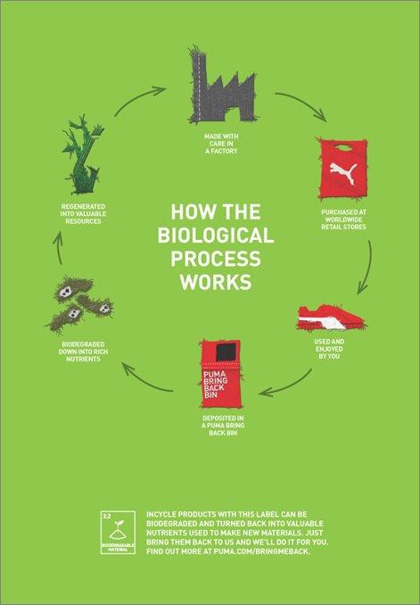 the biological recycling process