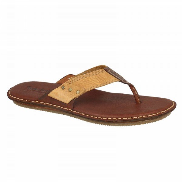 Wyprzedaż w Timberland 3